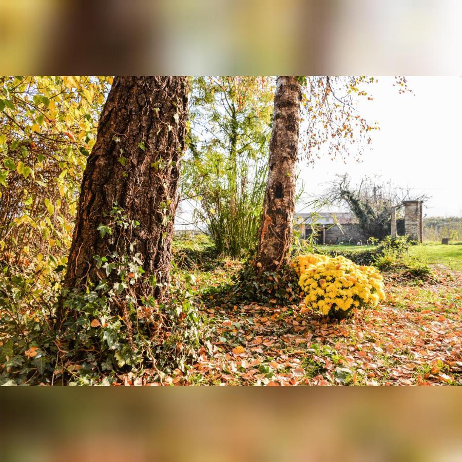 הוילה Barge Agriturismo Magnarosa מראה חיצוני תמונה